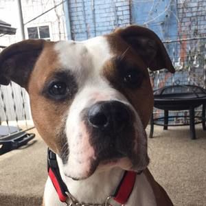 Meet your Posher, Jordan